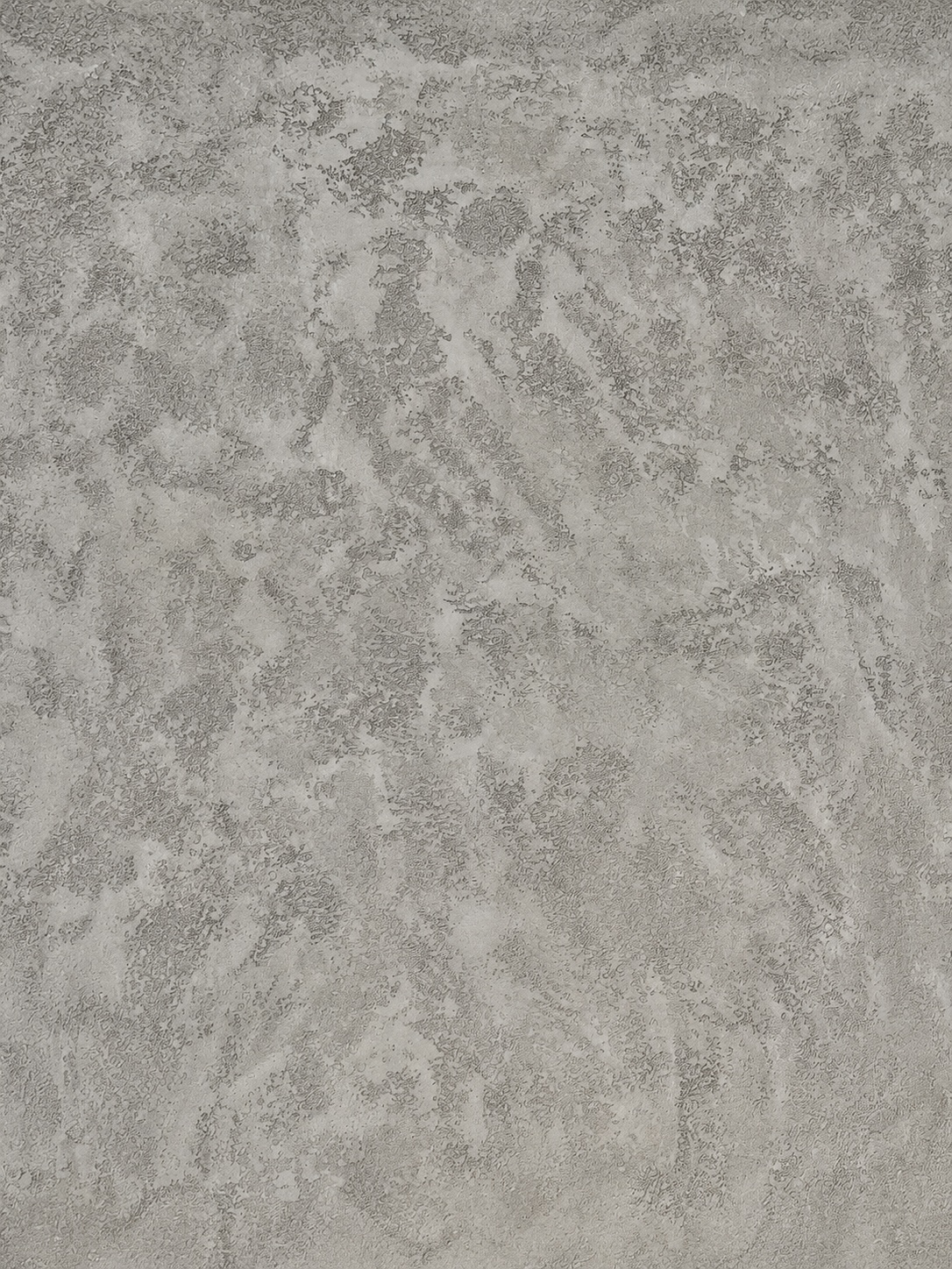 Beton Look decorative finish